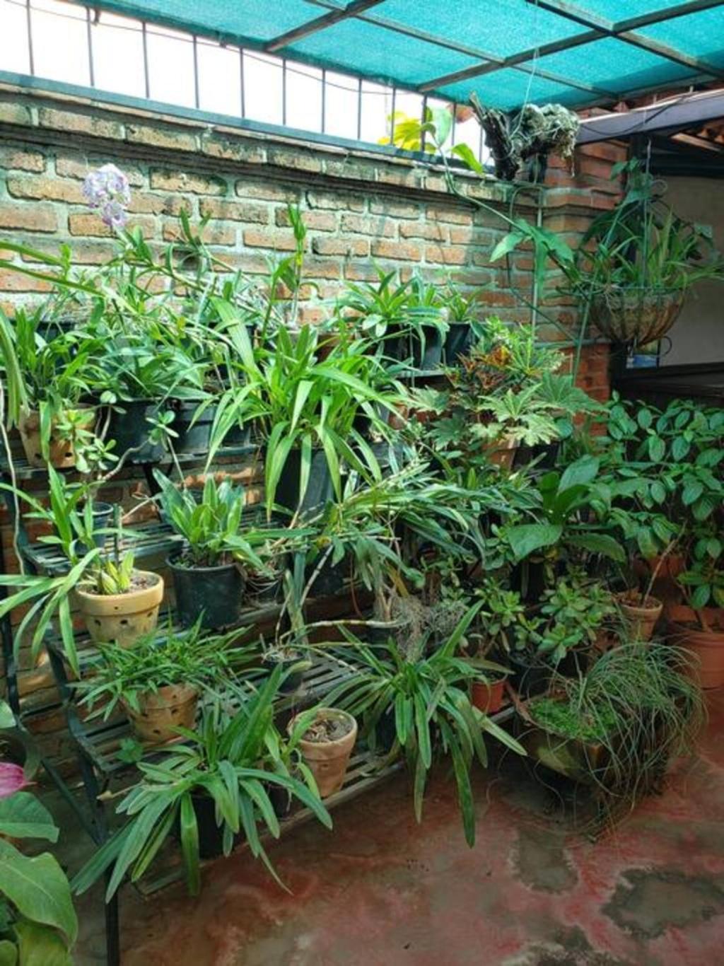 Enjoy Ac In The Penthouse At Inn Ajijic Esterno foto